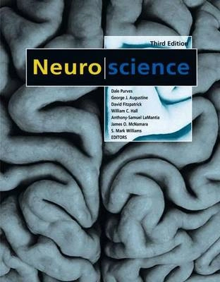 Neuroscience Including Sylvius CDROM; Dale Purves; 2004