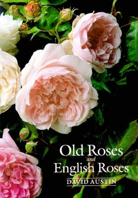 Old Roses and English Roses; David Austin; 1999