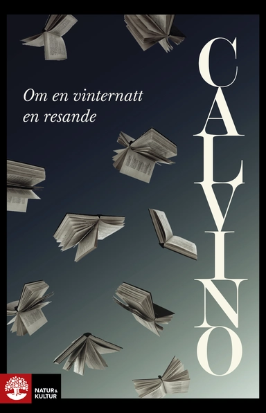 Om en vinternatt en resande; Italo Calvino; 2017