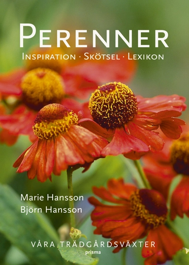 Perenner : våra trädgårdsväxter; Marie Hansson, Björn Hansson; 2008