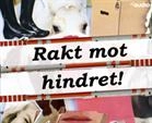 Rakt mot hindret; Malin Eriksson; 2018