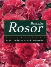 Rosor Botanica Encyklopedi över trädgårds- och vildrosor; Peter Beales, Ulla-Märta Westerståhl, Andrea Ängkvist Resch; 2001