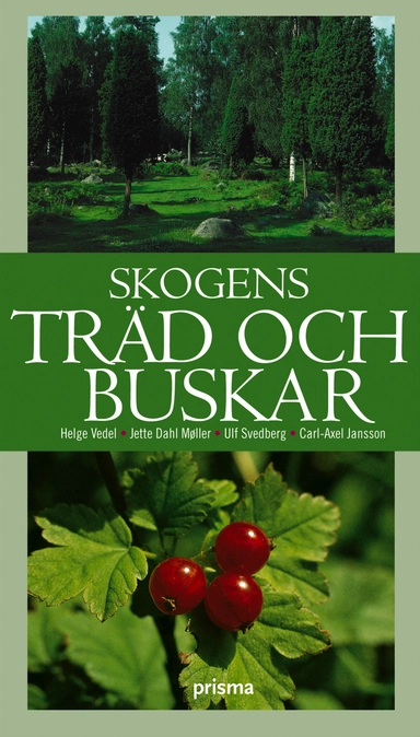 Skogens träd och buskar; Jette Dahl Møller, Ulf Svedberg, Helge Vedel; 2004