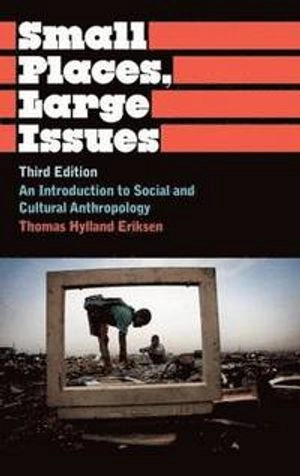 Small Places, Large Issues; Eriksen Thomas Hylland; 2010