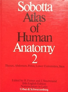 Sobotta Atlas of human anatomy Vol. 2 Thorax, abdomen, pelvis, lower extremities, skin; Johannes Sobotta; 1982