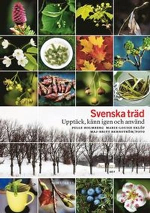 Svenska träd : upptäck, känn igen och använd; Pelle Holmberg, Marie-Louise Eklöf; 2010