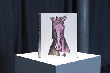 The horse, the robot & the immeasurable; Tove Kjellmark, Jonatan Habib Engqvist, Jonna Bornemark, Joanna Sandell, Elin Hernlund, Sinziana Ravini, Karin Victorin; 2022