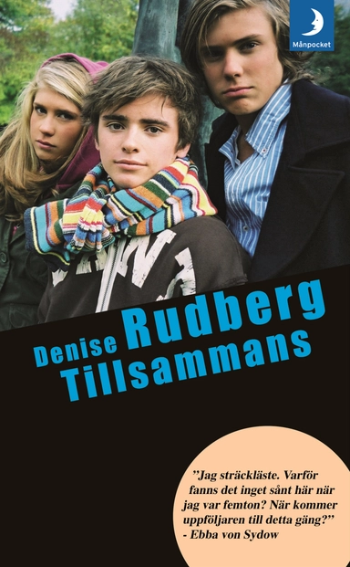 Tillsammans; Denise Rudberg; 2008