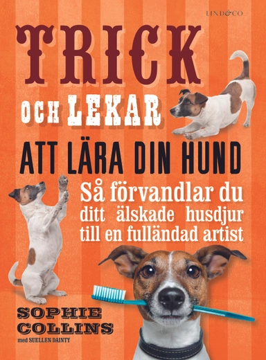 Trick och lekar att lära din hund : så förvandlar du ditt älskade husdjur..; Sophie Collins, Suellen Dainty; 2018