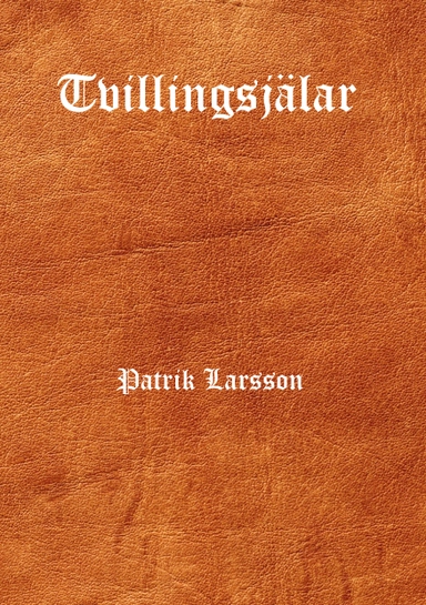 Tvillingsjälar; Patrik Larsson; 2014