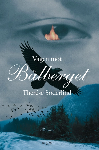 Vägen mot Bålberget; Therése Söderlind; 2013