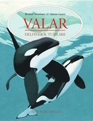 Valar; Bernard Stonehouse; 2000