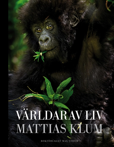 Världar av liv; Mattias Klum; 2013