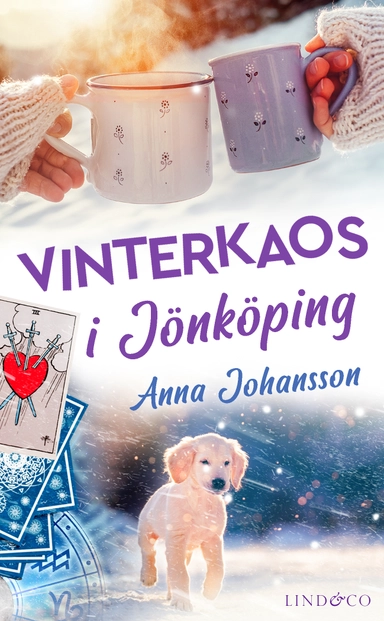 Vinterkaos i Jönköping; Anna Johansson; 2024