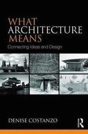 What Architecture Means; Denise Costanzo; 2015