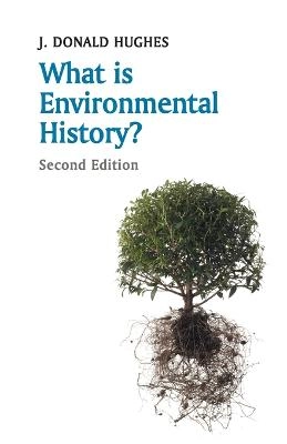 What is Environmental History?; J. Donald Hughes; 2015