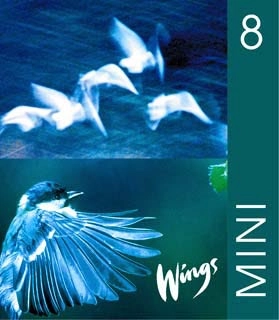 Wings Mini. 8, Elevbok; Anna-Lena Andersson, Ylva Winther, Mary Glover, Richard Glover, Bo Hedberg, Per Malmberg; 2003