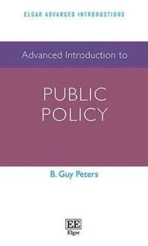 Advanced Introduction to Public Policy