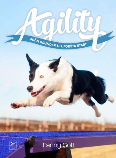 Agility : från grunder till första start