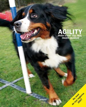 Agility : från start till mål