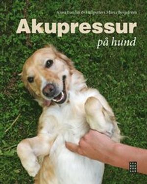 Akupressur på hund