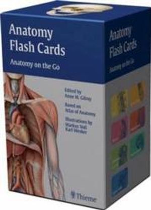 Anatomy Flash Cards: Anatomy on the Go