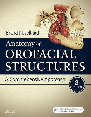 Anatomy of Orofacial Structures