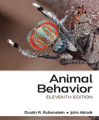 Animal Behavior