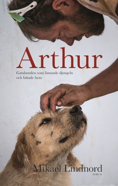 Arthur : gatuhunden som lämnade djungeln och hittade hem