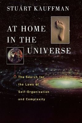 At Home In The Universe