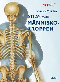 Atlas över människokroppen