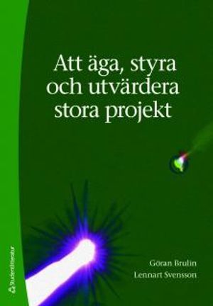 Att äga, styra och utvärdera stora projekt