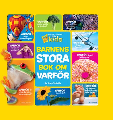 Barnens stora bok om varför?