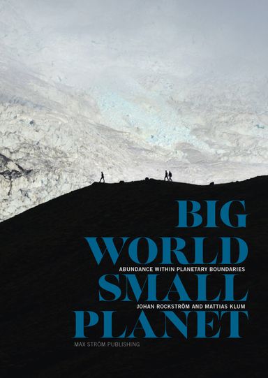 Big world, small planet : abundance within planetary boundaries