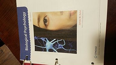 Biological Psychology