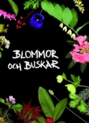 Blommor och buskar