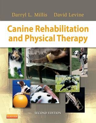 Canine rehabilitation and physical therapy