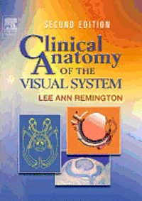 Clinical Anatomy of the Visual System