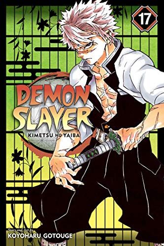 Demon Slayer: Kimetsu no Yaiba, Vol. 17: Volume 17