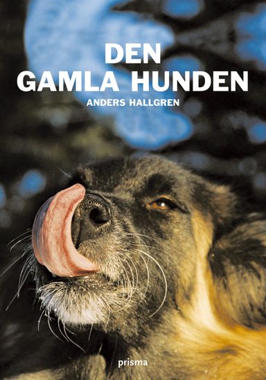 Den gamla hunden : om den äldre hundens fysiska och psykiska välbefinnande