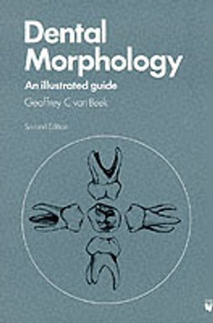 Dental Morphology