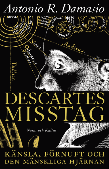 Descartes misstag