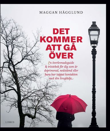 Det kommer att gå över : en överlevnadsguide och tröstebok för dig som är deprimerad, nedstämd eller bara har tappat kontakten med din livsglädje