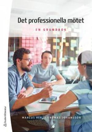 Det professionella mötet : en grundbok