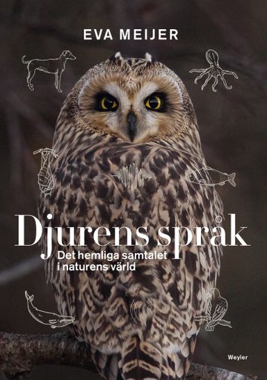 Djurens språk : det hemliga samtalet i naturens värld