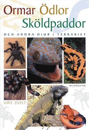 Dost, U/Ormar, ödlor, sköldpaddor