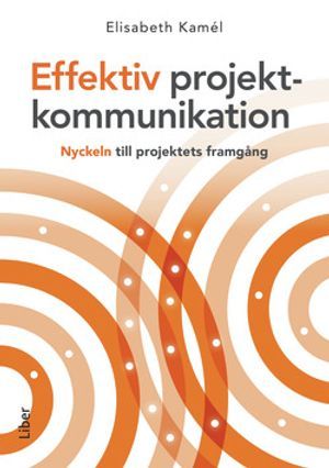 Effektiv projektkommunikation : nyckeln till projektets framgång