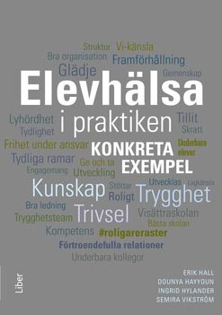 Elevhälsa i praktiken : Konkreta exempel