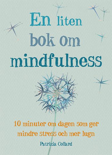 En liten bok om mindfulness : 10 minuter om dagen som ger mindre stress och mer lugn