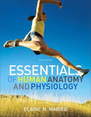 Essentials of Human Anatomy & Physiology